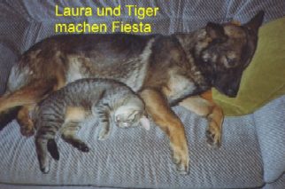 Laura und Tiger